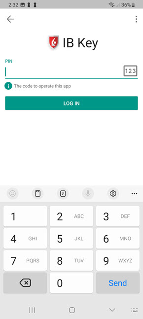The IB Key enter pin page. 